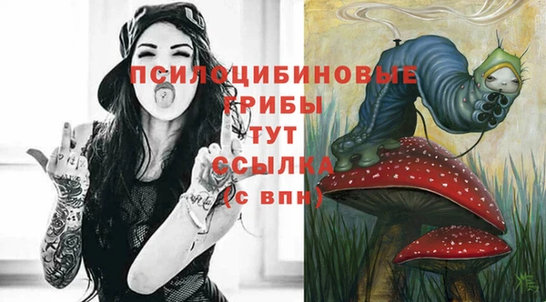 твердый Беломорск